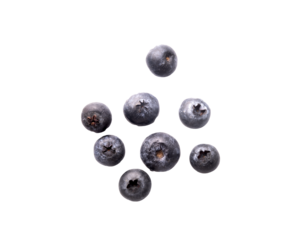 small portion of loose blueberries on transparent background top view
