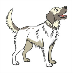 Dog Vector