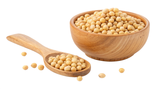 Soybeans in wooden bowl and spoon healthy food ingredient organic agriculture protein rich plant based diet
