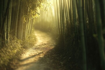 Naklejka premium Sunlight filters through a serene bamboo forest, illuminating a winding path on the ground, creating a peaceful scene.