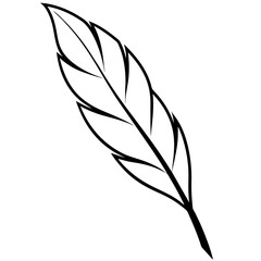 Single feather in minimal outline style