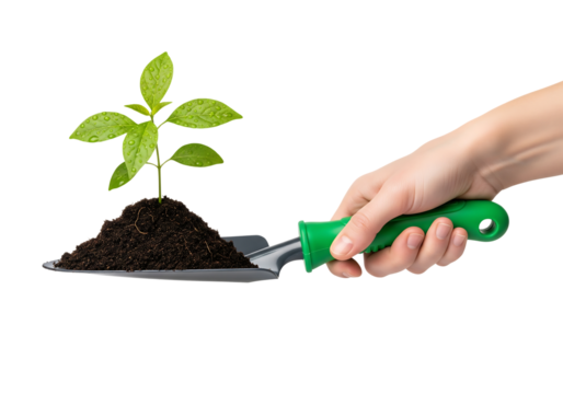 Hand holding a garden trowel with soil and a young green plant sprout. Isolated on transparent background, png