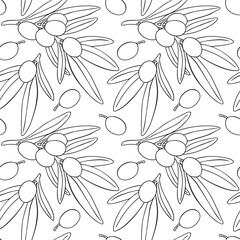 Seamless pattern drawing olive fruits branch vector. Hand painted floral illustration olives fruit tree branches leaves background. Drawings food. Edible foliage. For fabric, wrapping decor menu