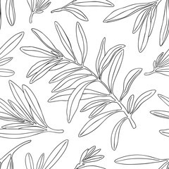 Seamless pattern olive branch vector drawing. Hand painted floral illustration olives tree branches leaves background. Drawings foliage. For fabric, wrapping, decor, wedding stationary gift menu