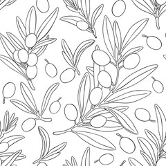 Seamless pattern drawing olive oil fruits branch vector. Drawings food. Hand painted floral illustration olives fruit tree branches leaves background. Edible foliage. For fabric wrapping decor menu