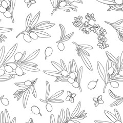 Seamless pattern drawing olive oil fruits branch vector. Hand painted floral illustration olives fruit tree branches leaves background. Drawings food. Edible foliage. For fabric wrapping decor menu