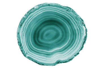 A painted Green agate slice with white veins on a white background suits decor and craft projects. Its layered texture adds a natural elegance to various designs.