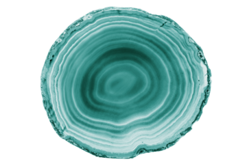 A painted Green agate slice with white veins on a white background suits decor and craft projects. Its layered texture adds a natural elegance to various designs.