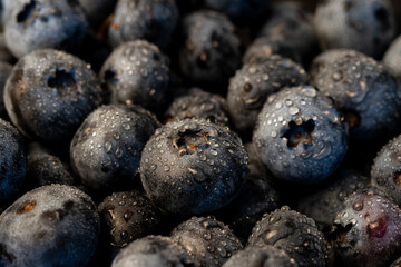 Macro shot of fresh blueberries covered in water droplets. A vibrant, healthy, and natural fruit background perfect for food, wellness, and organic lifestyle themes.
