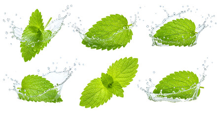 Fresh mint leaves splashing in water, capturing a dynamic moment of nature's freshness and vitality in a clean background