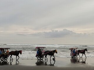 A horse in the beach area. This transportation is rented out for tourists who want to go around the...