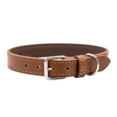 Brown leather dog collar with metal buckle