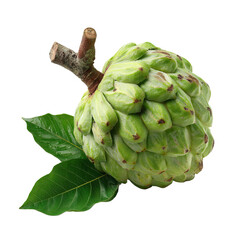 Obraz premium A fresh, ripe sugar apple fruit, also known as sweetsop, with green leaves, showcasing its unique texture and natural beauty.