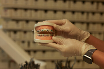 Dentist with Orthodontic tooth model and bracket or brace. Clean and Scrape off tartar. May Orthodontic Health Day, March Oral health, Dentist Day, False Teeth. Toothache and Children Dental Health