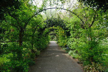 Garden archway with green foliage and vines over the footpath
