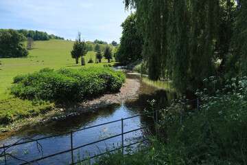 Landscape of a small river flowing through a meadow and trees
