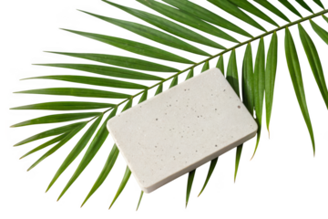 A light colored rectangular bar rests on a vibrant green palm leaf isolated on transparent background