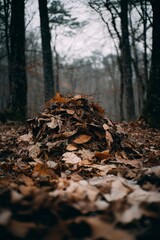 Obraz premium A pile of decaying leaves and twigs sits on a forest floor amidst bare trees