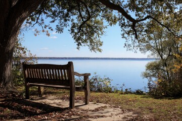 Fototapeta premium A wooden bench sits under a tree overlooking a serene lake