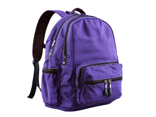A stylish purple canvas backpack is shown against a plain transparent background