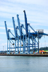 Idle blue cargo port cranes in raised position with no work