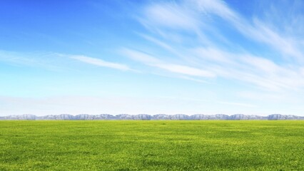 Obraz premium green field and blue sky