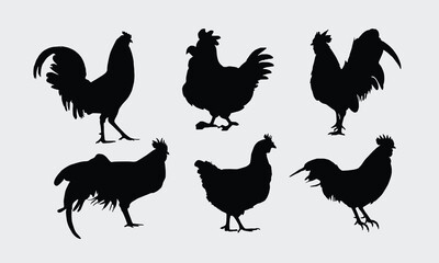 Hen Silhouette Bundle, Handmade calligraphy vector illustration, bags, stationary as a poster.