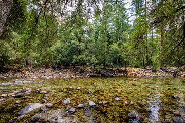 Clear Stream Rocks