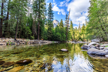 Clear Stream Reflection