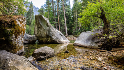 Rocky Stream Landscape