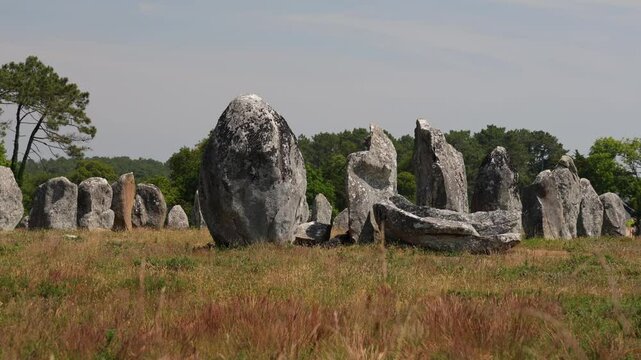 Les menhirs de Carnac en Bretagne. 