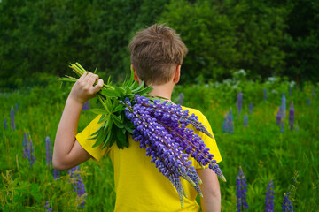 The scene depicts a boy in yellow, radiating happiness in a lush lupine-filled landscape.