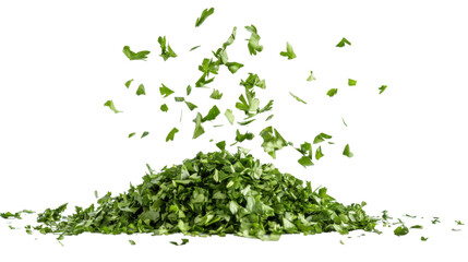 crushed parsley on white background