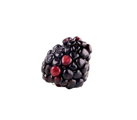 a blackberries close up isolated on white background