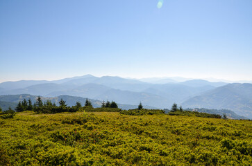 Beautiful mountain landscape featuring rolling hills, lush green shrubs, and tranquil sky. The expansive view captures peaceful atmosphere ideal for nature lovers and outdoor enthusiasts. Carpathians