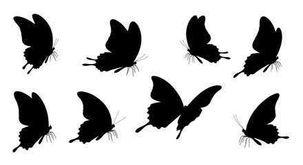Elegant butterfly silhouette set gracefully displayed on pristine white background