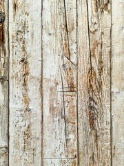 Whitewashed wooden planks creating a rustic background texture