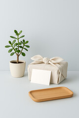 Minimalist eco-friendly gift scene with plant and wooden tray