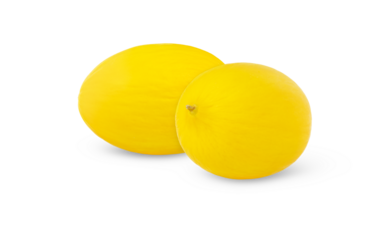 Yellow canary honeydew melons isolated. Ripe melon with shadow.