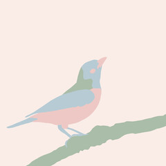J Bird