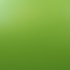 Fototapeta premium Bright Green Gradient Background – Natural Light Photography