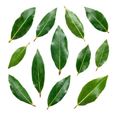 Obraz premium Bay leaves arranged in a circle on a white background. The leaves are vibrant green with visible veins.