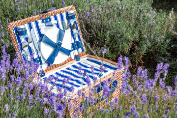 Beautiful picnic suitcase made of woven straw in a field of blooming lavender. Organic handmade products.