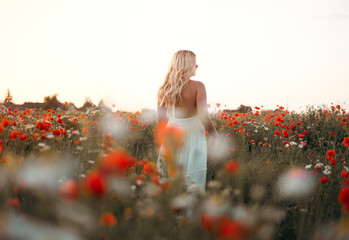 young beautiful blonde woman in white dress in poppy field at sunset. Woman and nature