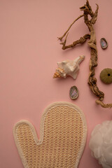 Summer background of seashells from the oceans for shower personal hygiene