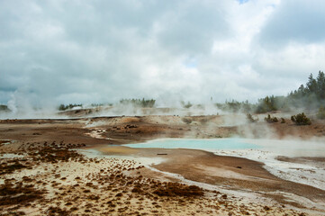 Yellowstone National Park, the first national park in the US,  known for its wildlife and its many geothermal features