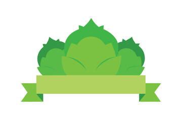 Cabbage Heads With Front Floating Banner On White Background