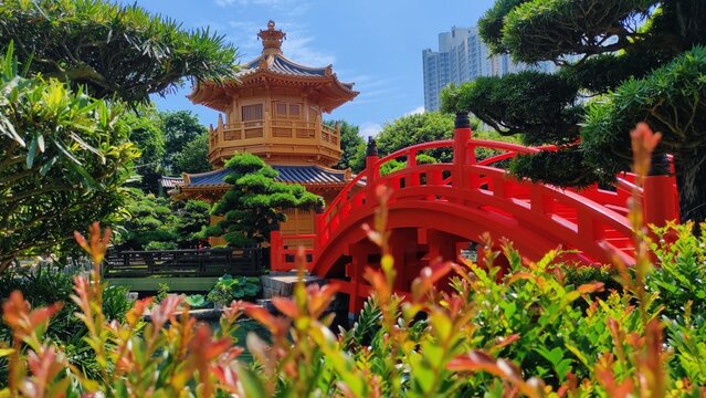 Hong Kong, June 01,2025 : Lotus pond garden, Nan Lian Garden. The Nan Lian Garden is a public garden built in the clasic Chinese style amidst the high-rise apartments of Diamond Hill in Hong Kong