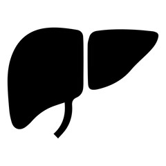 Human Liver Anatomy Detailed Illustration of Liver Structure and Function