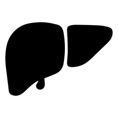 Human Liver Anatomy Detailed Illustration of Organ Structure